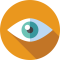 vision